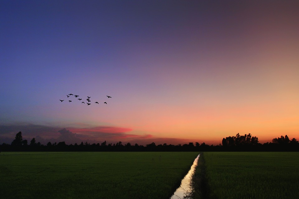 Aid-One demonstration